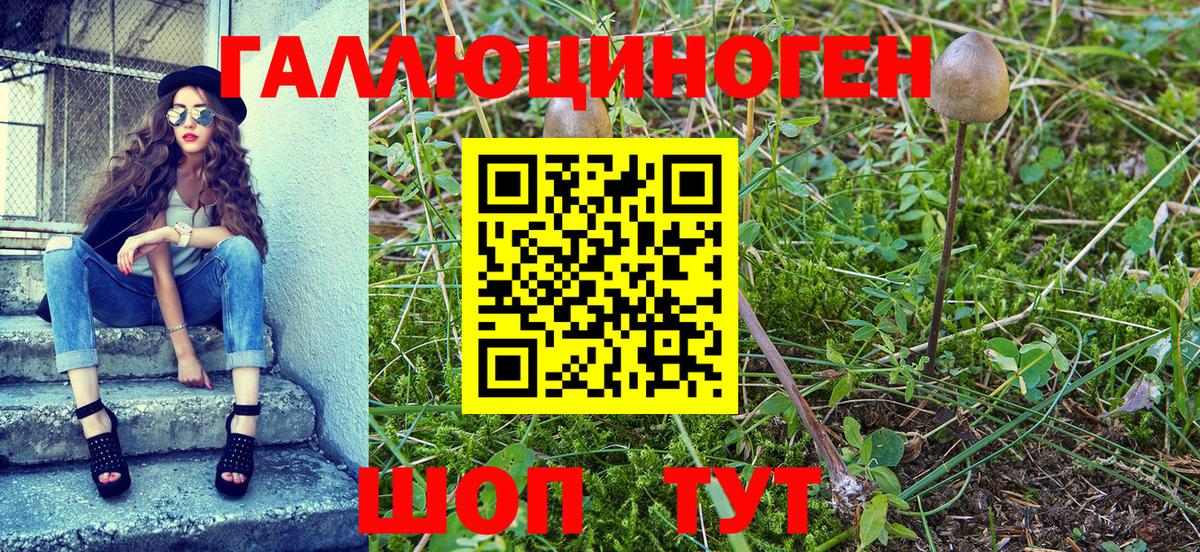 Нижний Новгород  Галлюциногенные грибы MAGIC MUSHROOMS  где найти наркотики  Вход с VPN 